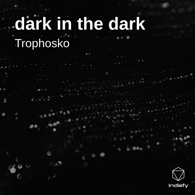 dark in the dark cover art