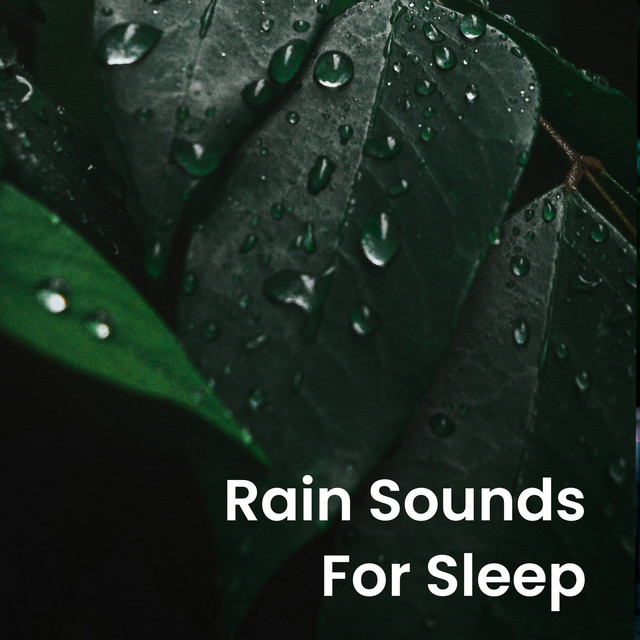 Rain Sounds for Sleep