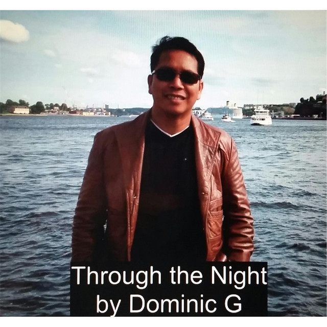 Through the Night - Single by Dominic G | Spotify