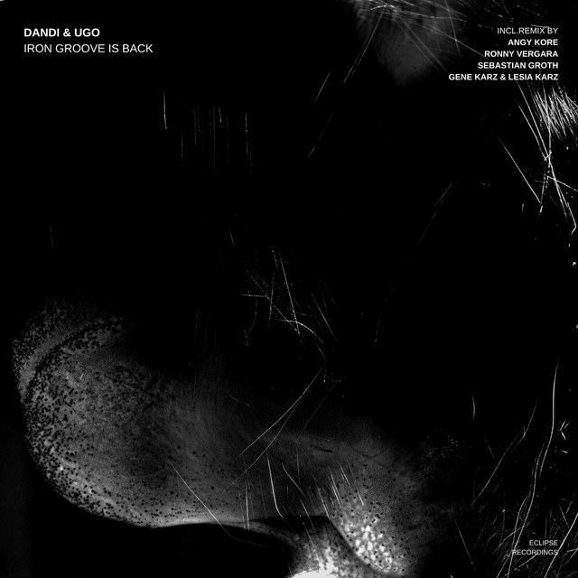 Iron Groove Is Back - AnGy KoRe Remix album art