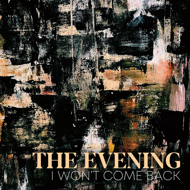 I Won't Come Back cover