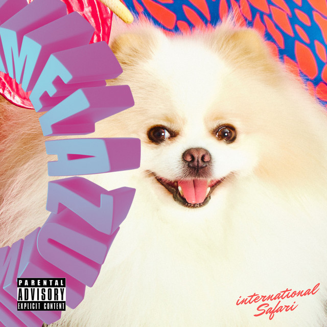 International Safari cover art