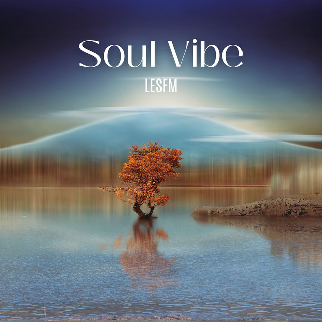 Soul Vibe album image