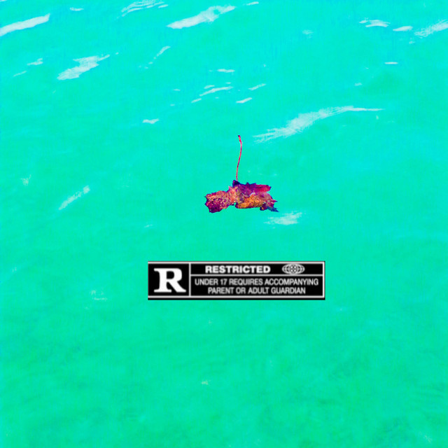 Drifting cover art