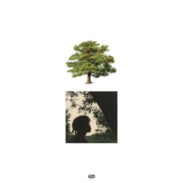 Shade Trees cover art