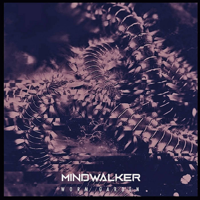 Worm Garden - song and lyrics by MINDWALKER | Spotify