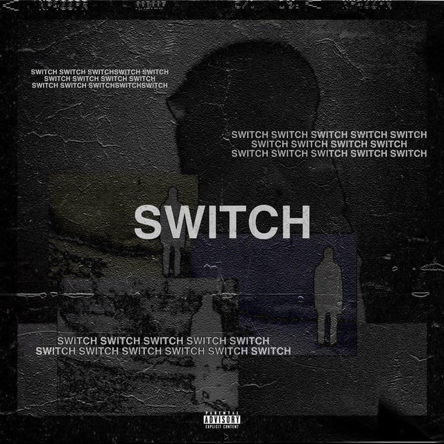 Switch cover art