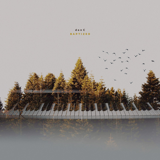 BAPtized cover art