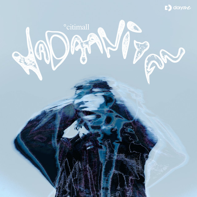 Nadaaniyan album image