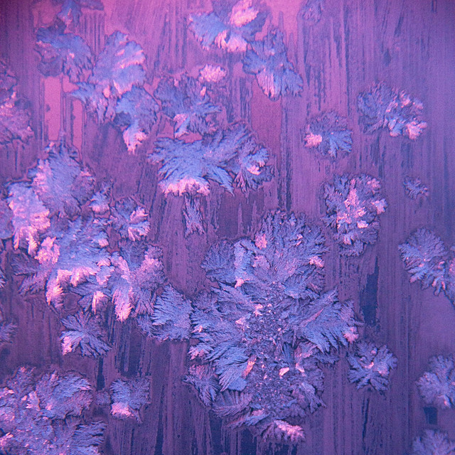 Too Far cover art