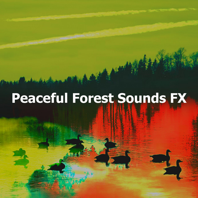 Peaceful Forest Sounds FX - Album by Forest Sounds FX | Spotify