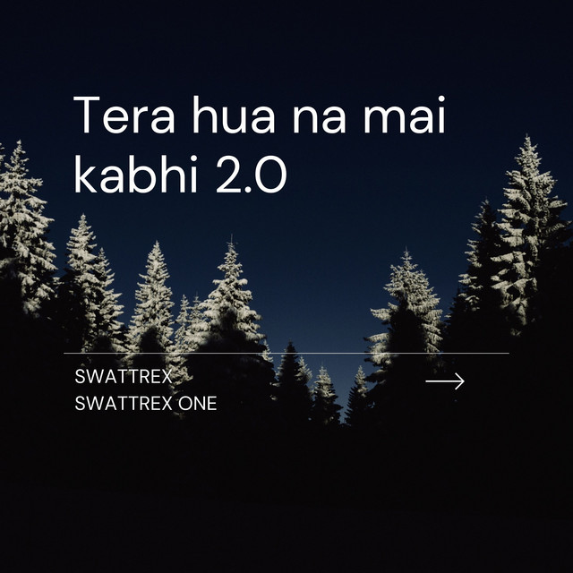 Tera hua na mai kabhi 2.0 cover