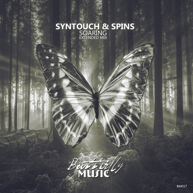 Soaring - Extended Mix