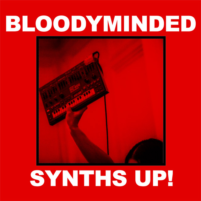 Synths Up! cover