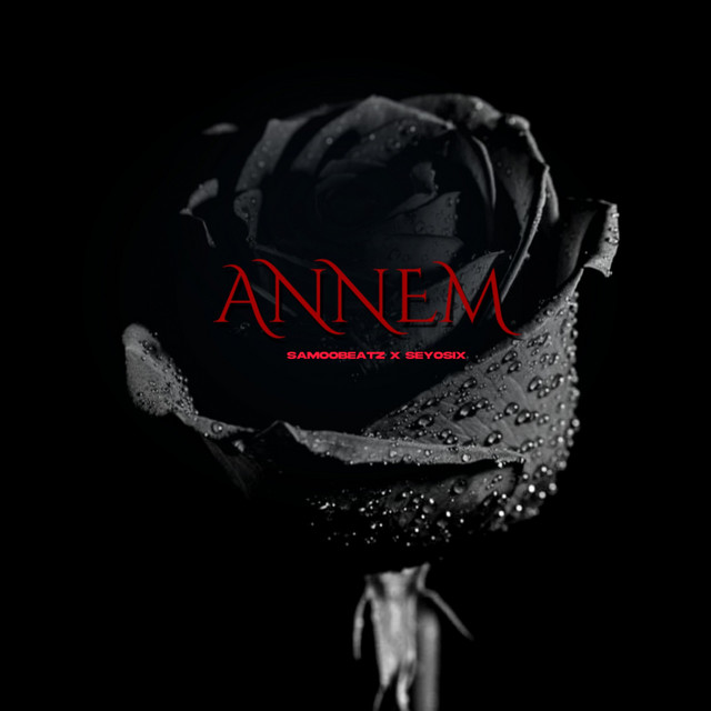 Annem - Single by Samoobeatz | Spotify