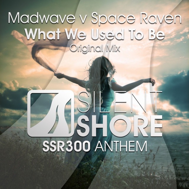 What We Used To Be (SSR300 Anthem) album art