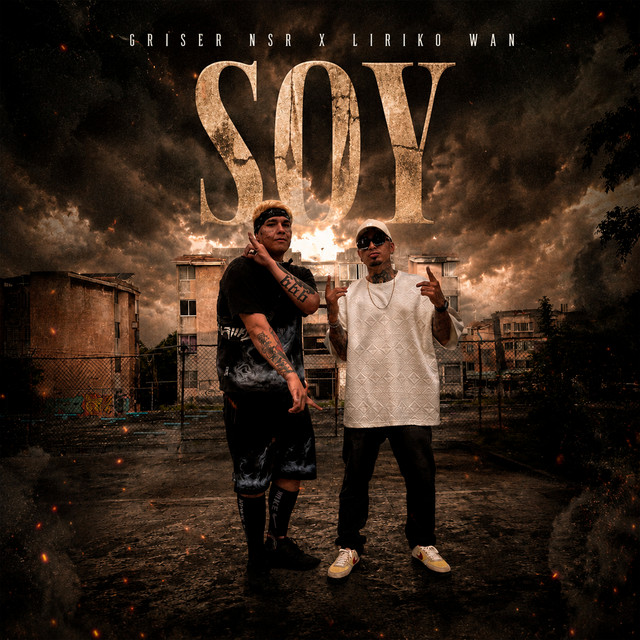 Soy