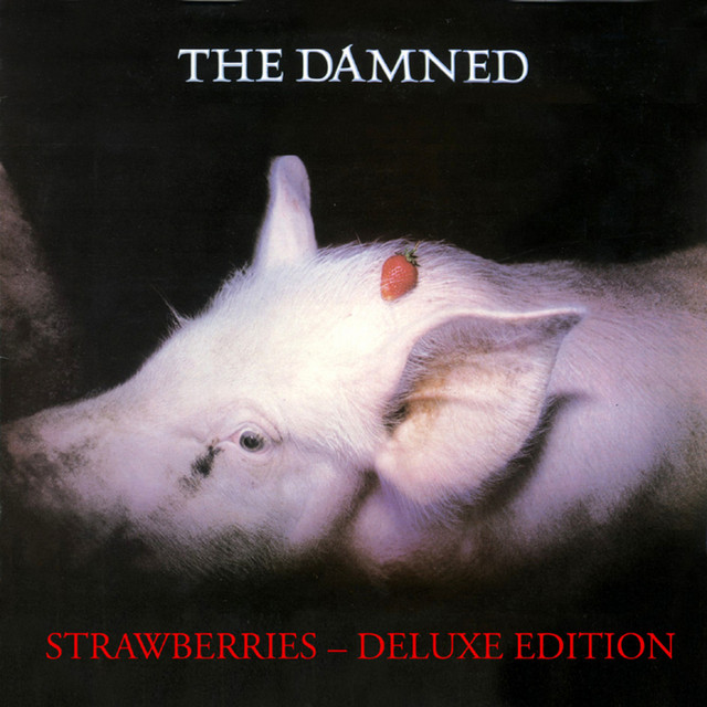 その他 LP Damned Strawberries VIL6014 BRONZE /00260 Strawberries - Album by The Damned | Spotify