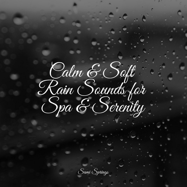 Calm & Soft Rain Sounds for Spa & Serenity - Album by Sounds Of Rain ...