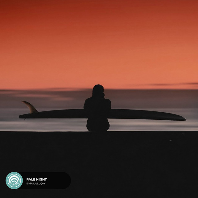 Pale Night album image