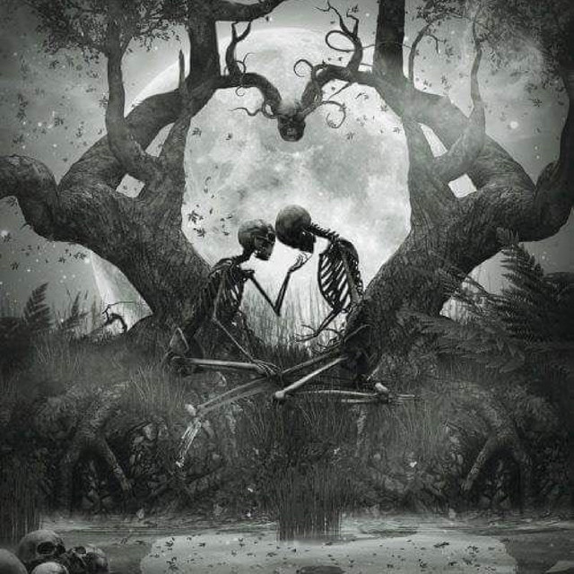 Thorn