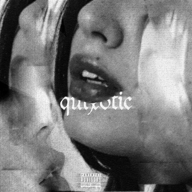 Quixotic cover art