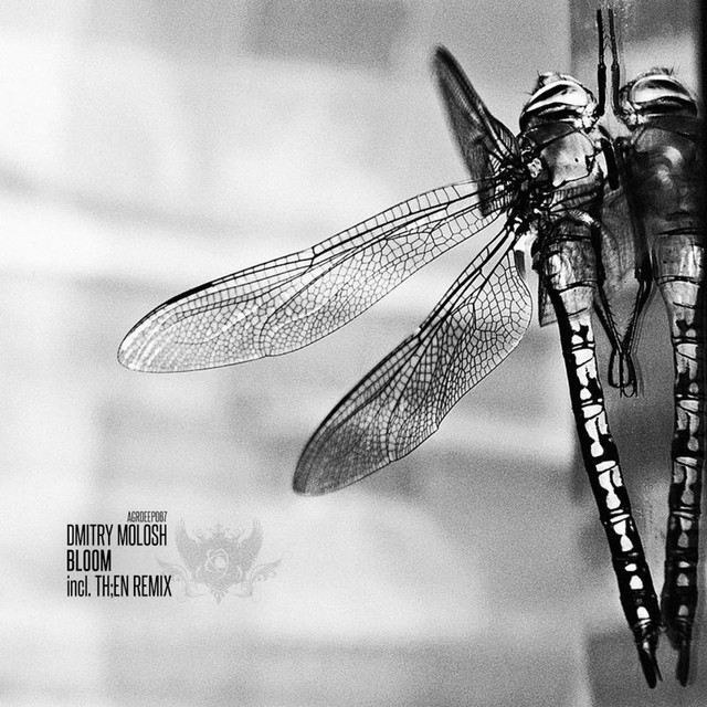 Bloom - Th;en Remix album art