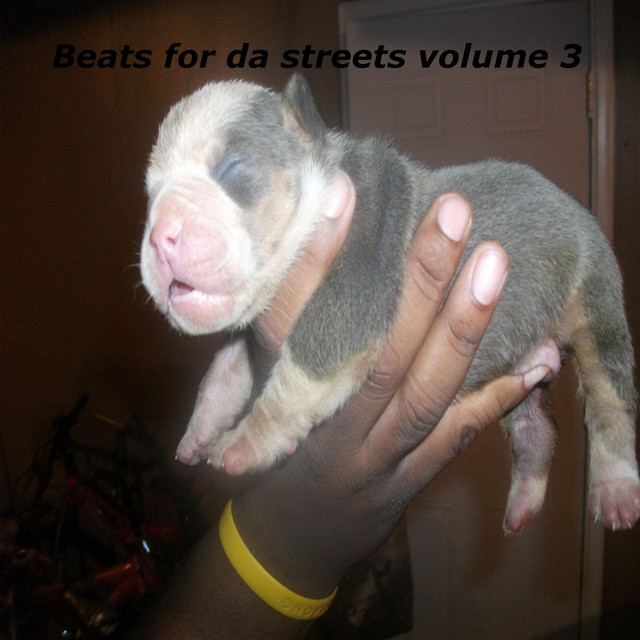 Beats for the Streets, Vol. 3 cover art