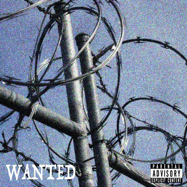 Wanted cover art