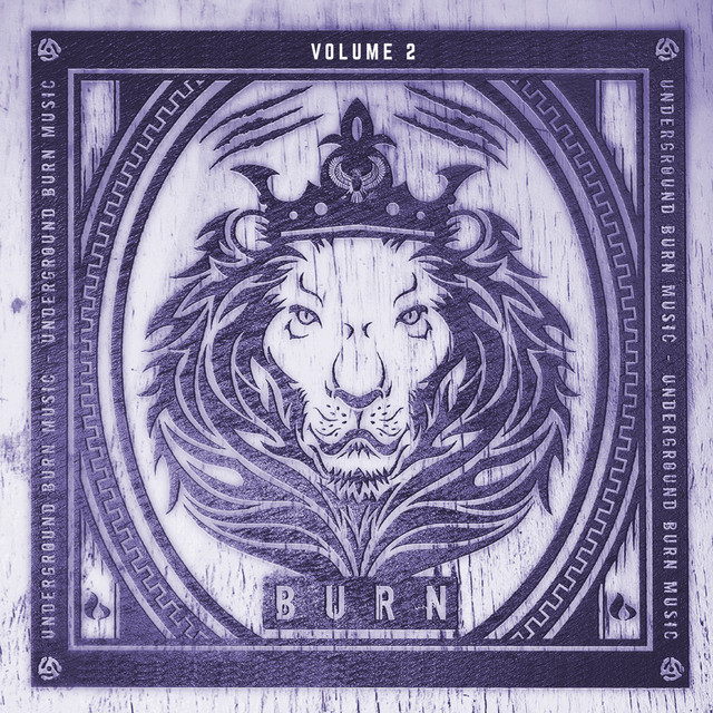 Underground Burn Music Volume 2 cover art