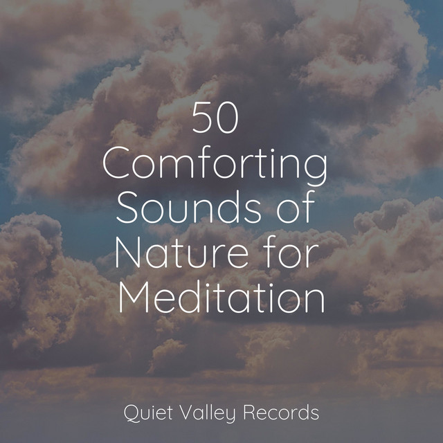 50 Comforting Sounds of Nature for Meditation - Album by Academia de ...