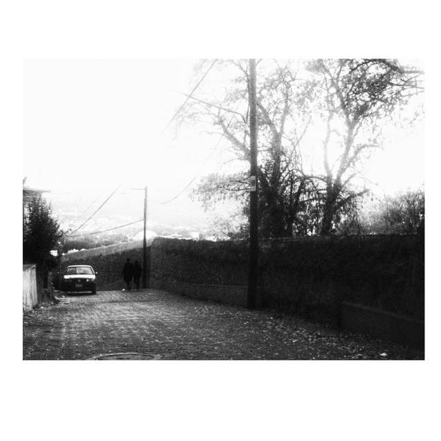 Los Monet