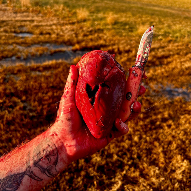 Big Buck Killer cover art
