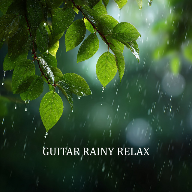 Guitar Rainy Relax