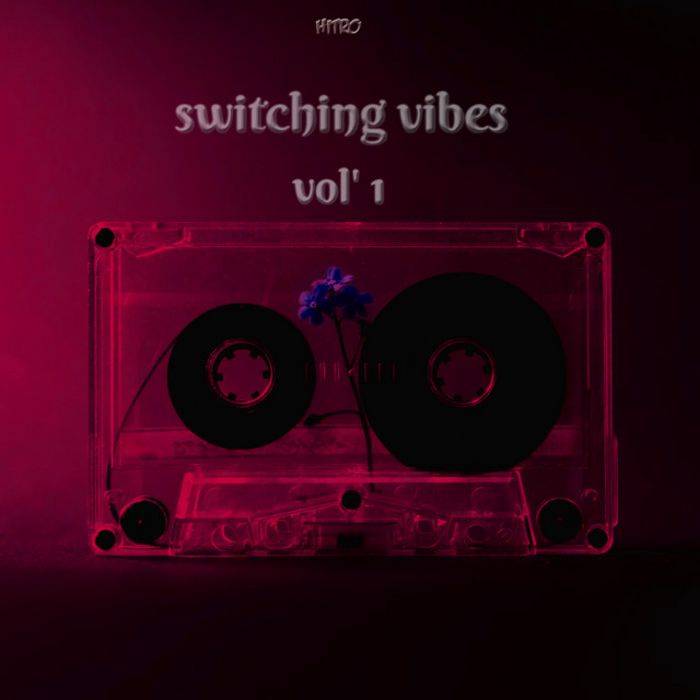 Switching Vibes, Vol. 1 cover art