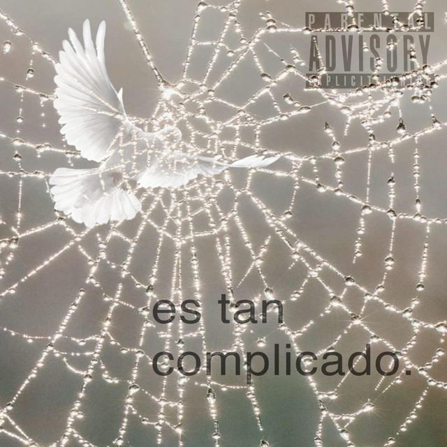 ES TAN COMPLICADO