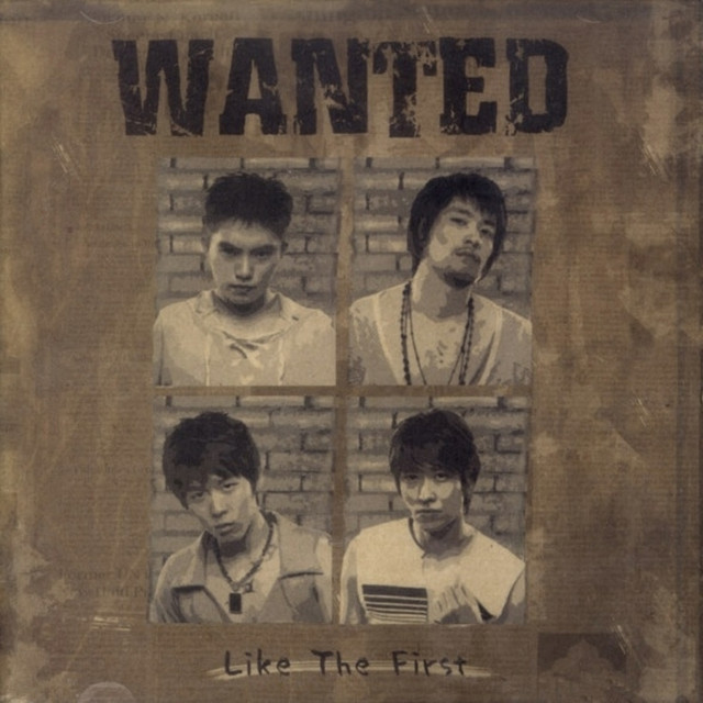Like The First cover art