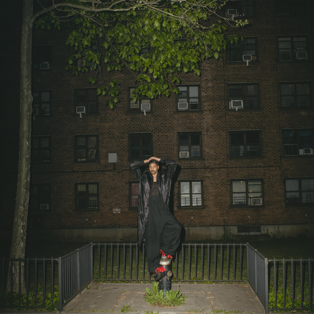 Don cover art