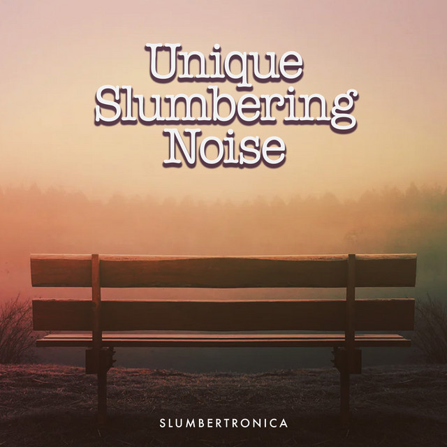 Unique Slumbering Noise cover art
