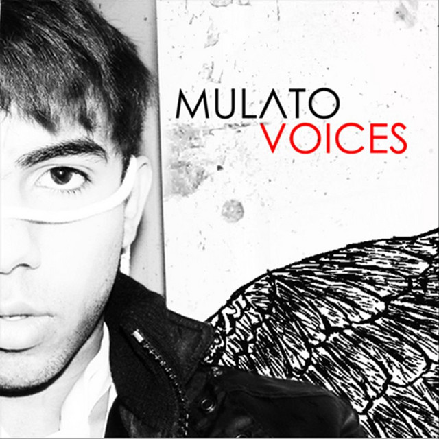 Voices cover