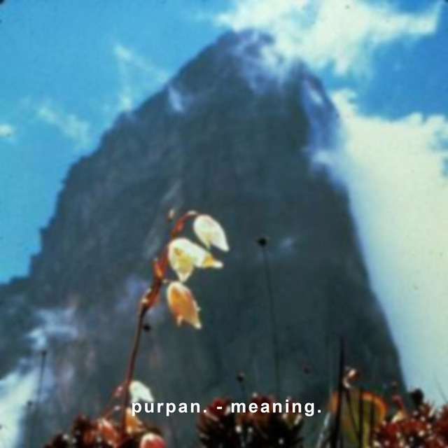 Meaning. cover art