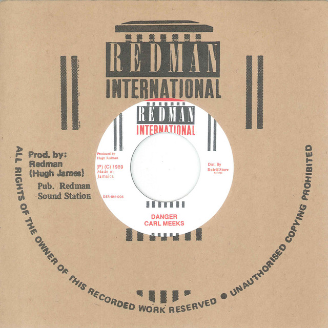 Danger / Danger Version cover art