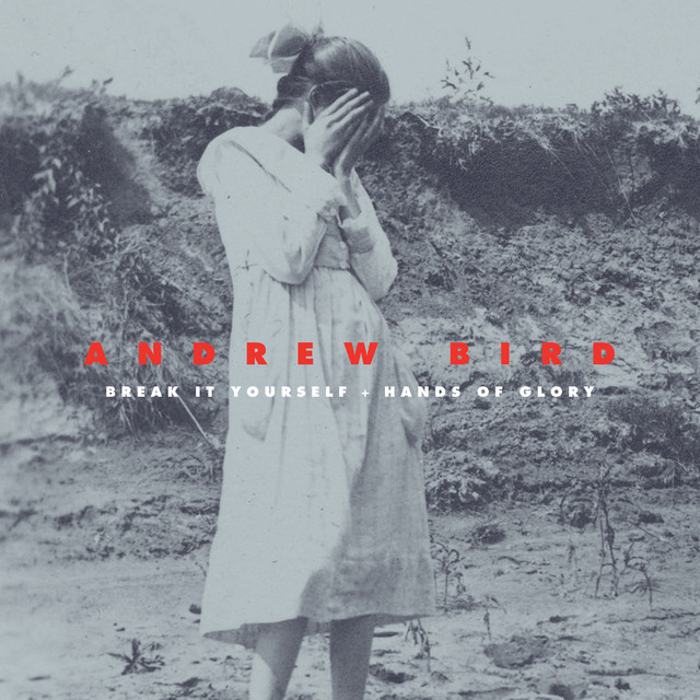 Break It Yourself/Hands of Glory (Deluxe) - Album by Andrew Bird