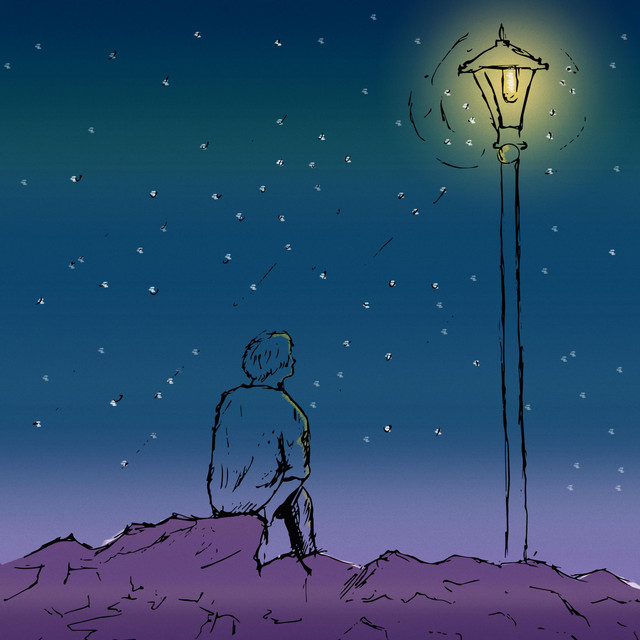 stray lights cover art