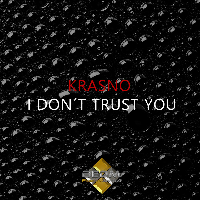 I Don't Trust You - Radio Version