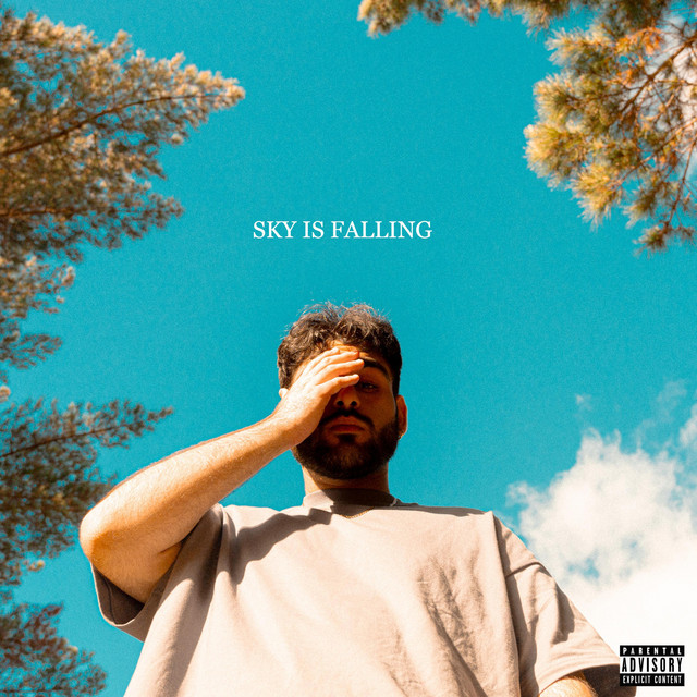 SKY IS FALLING
