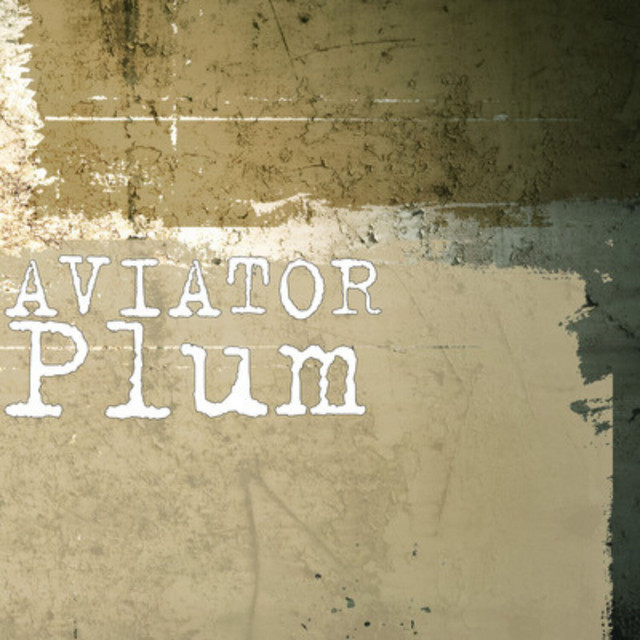 Обкладинка AVIATOR — Plum