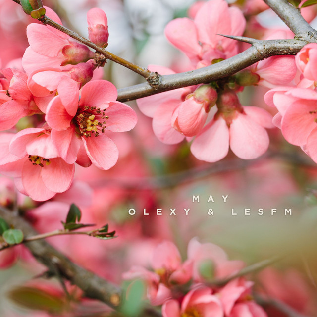 Обкладинка: May — Lesfm