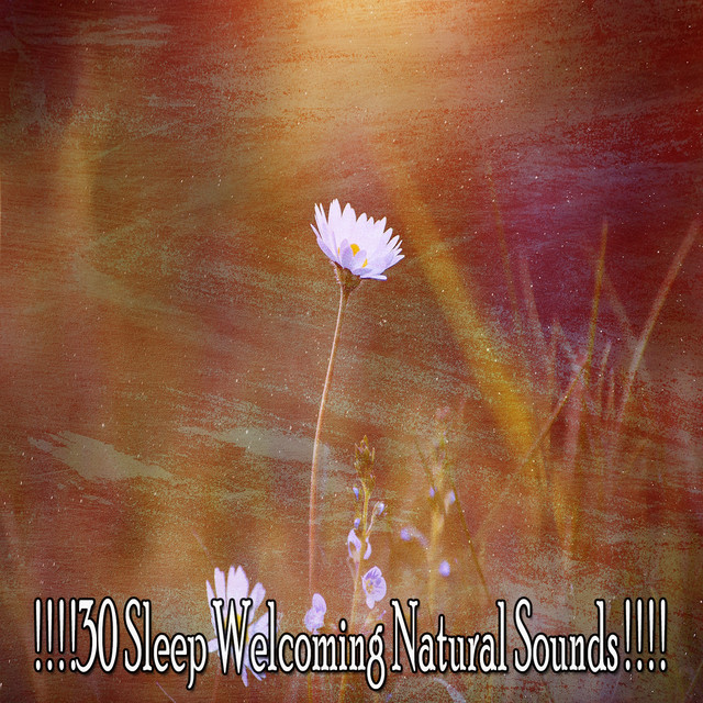 30 Sleep Welcoming Natural Sounds ! ! ! ! - Album by Pet Care Music ...
