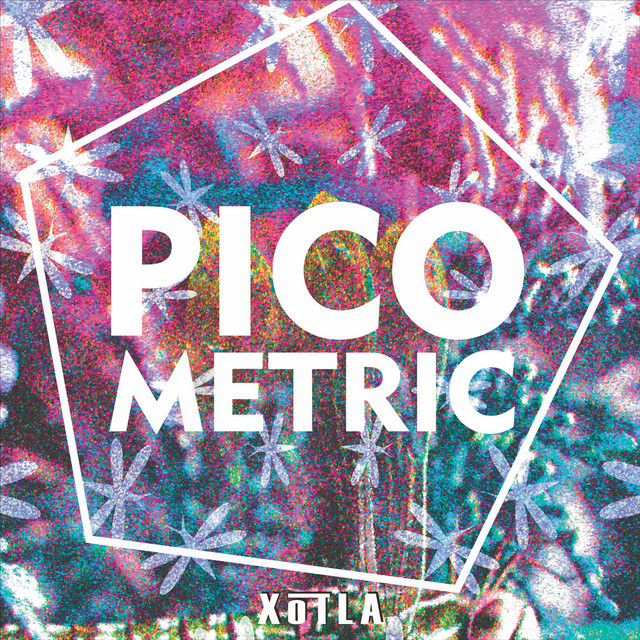 Pico Metric cover art